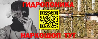 PSILOCYBIN Туймазы