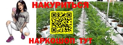 PSILOCYBIN Туймазы