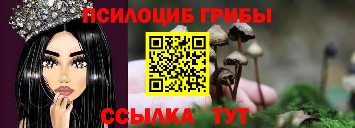 Галлюциногенные грибы MAGIC MUSHROOMS  Вход с VPN  Галлюциногенные грибы Psilocybe  Туймазы 